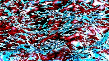 AP 168C1